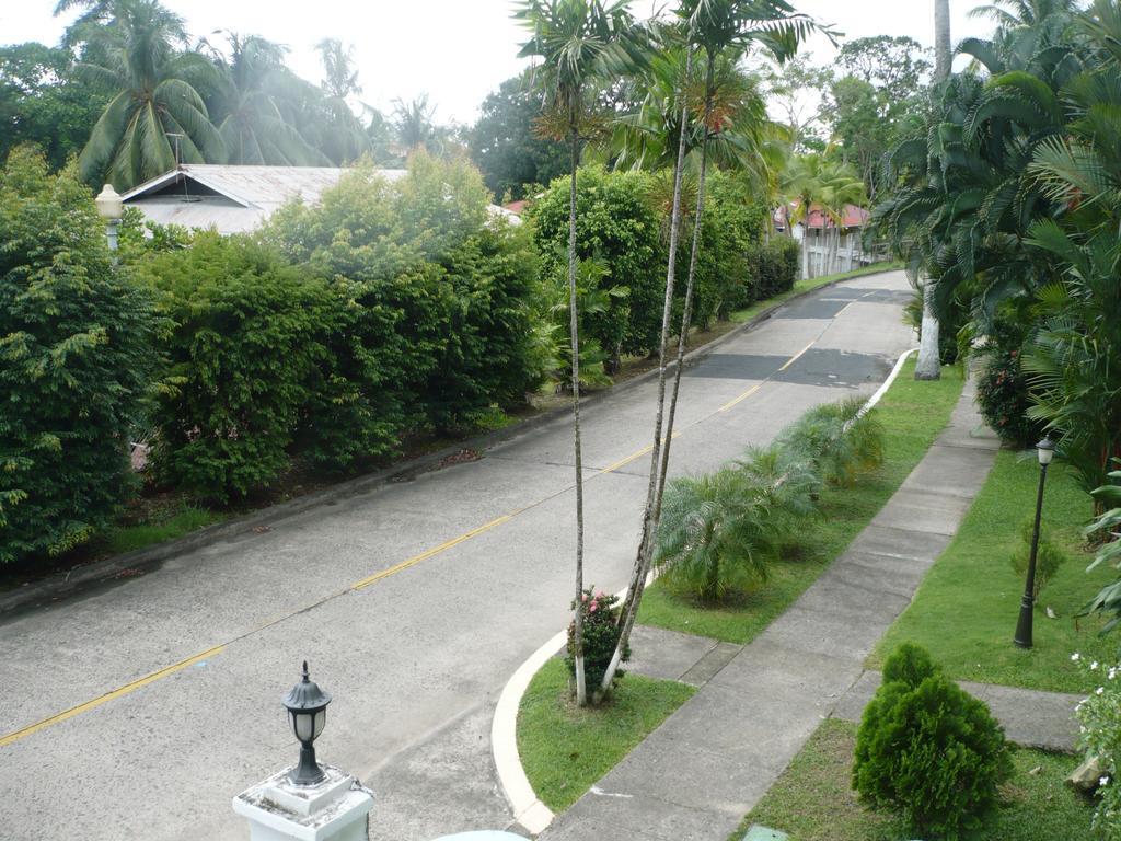 Dos Palmitos Bed And Breakfast 巴拿马城 外观 照片
