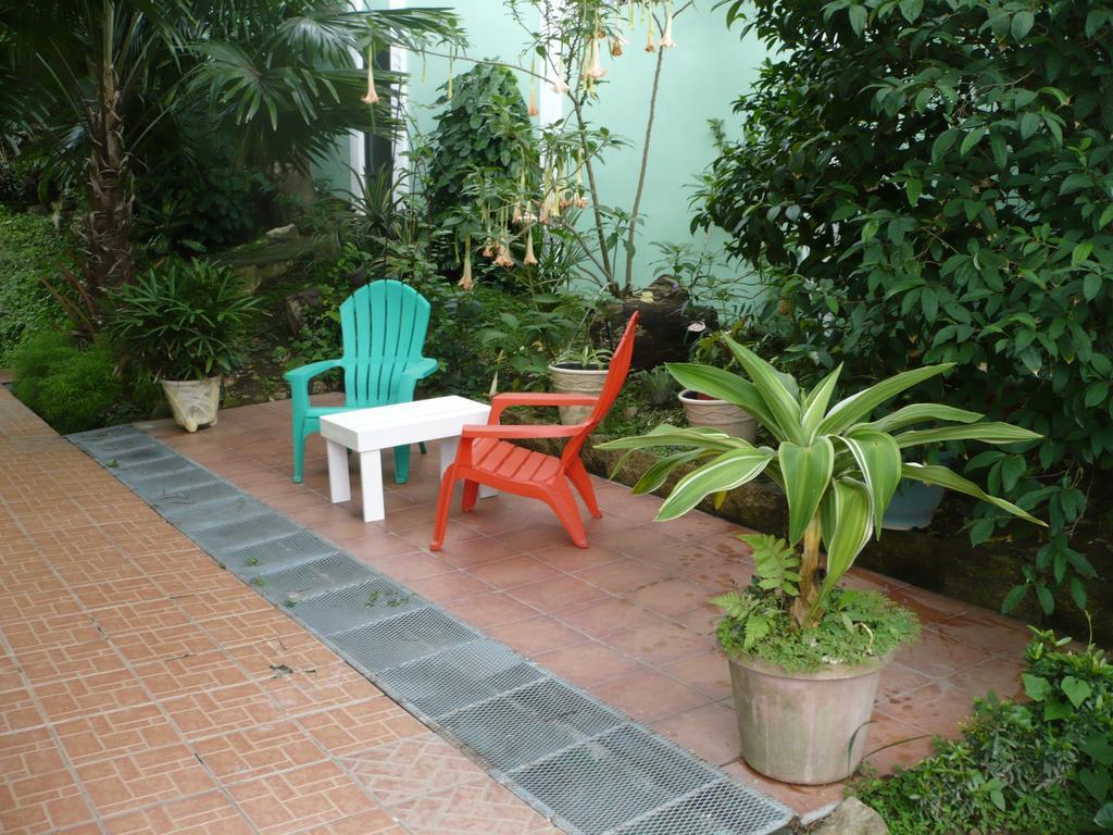 Dos Palmitos Bed And Breakfast 巴拿马城 外观 照片