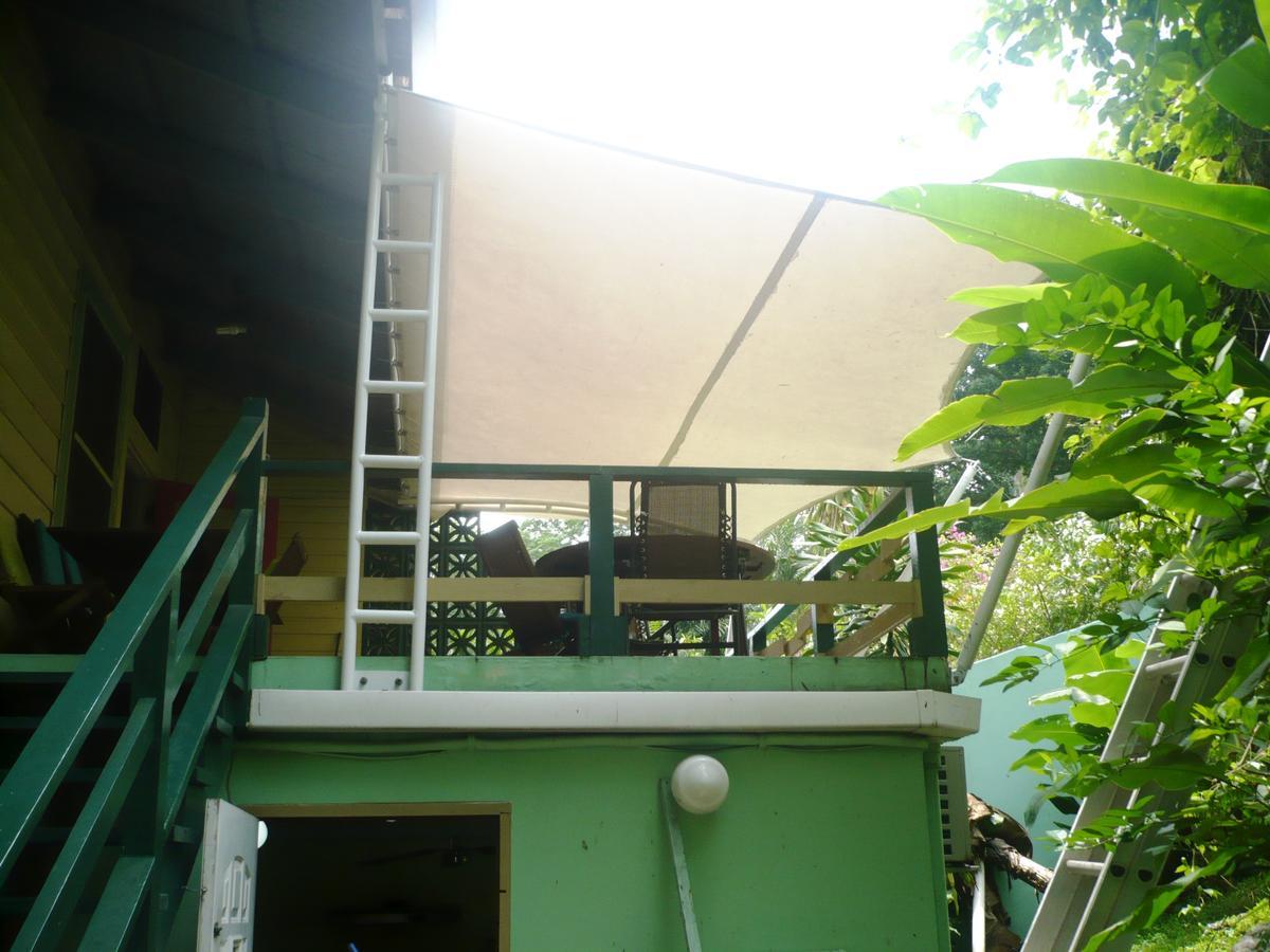 Dos Palmitos Bed And Breakfast 巴拿马城 外观 照片